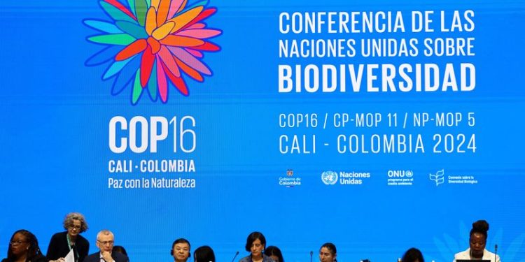 As UN COP16 nature talks are gridlocked, scientists warn of extinction risks