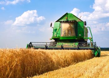 Consumers face high wheat prices as Russian supply shrinks, leaving limited options available