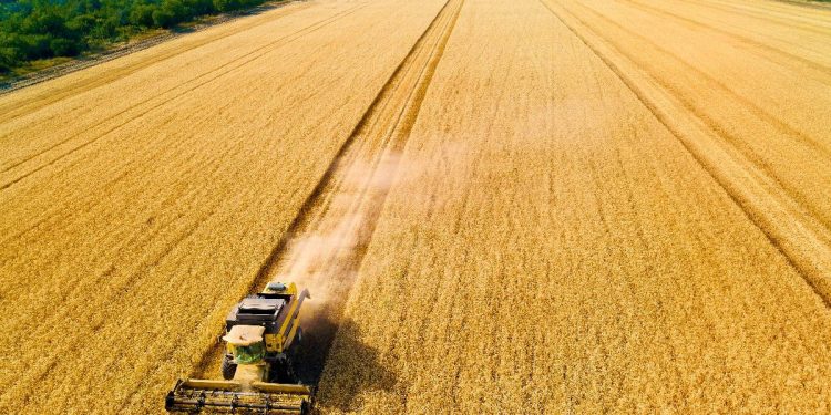 Weather and geopolitical tensions drive price volatility in wheat, sugar, and rice