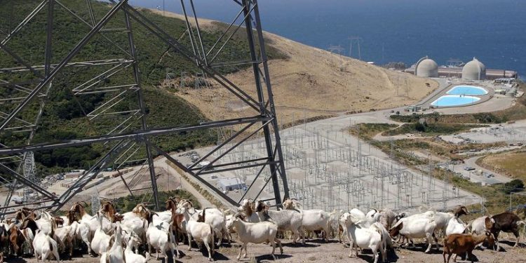 California’s only nuclear plant to use AI to help comply with new licensing challenges