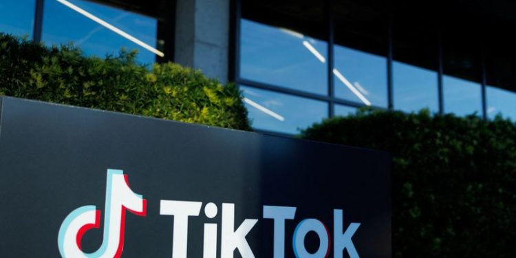 ByteDance, TikTok seek temporary halt to US ban pending Supreme Court review