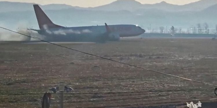 Experts question bird strike as cause of deadly South Korean airliner crash